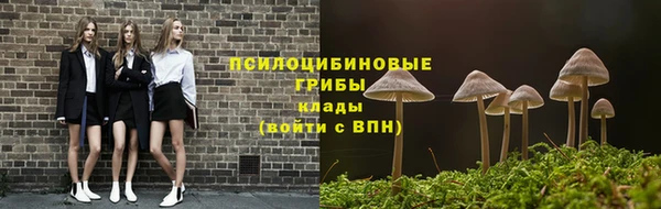 гидропоника Михайлов