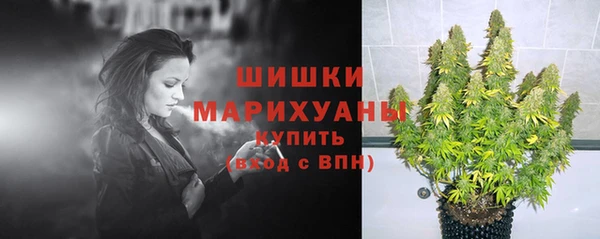 гидропоника Михайлов