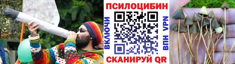 дарнет шоп  блэк спрут ONION  Псилоцибиновые грибы Magic Shrooms  Острогожск 